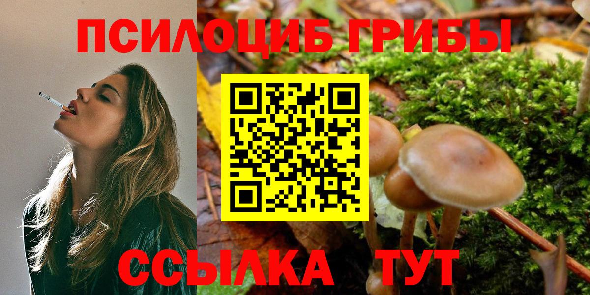 Галлюциногенные грибы Psilocybine cubensis Вольск