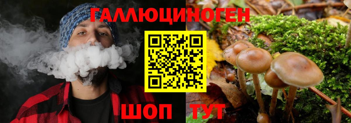 Вольск  Галлюциногенные грибы Magic Shrooms  Вход с VPN 